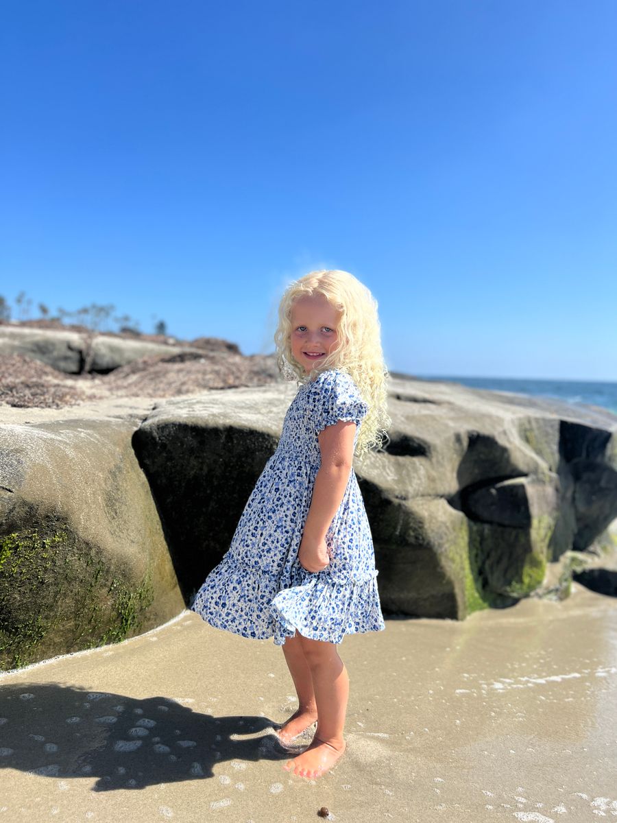 Blue Meadow Floral Dress