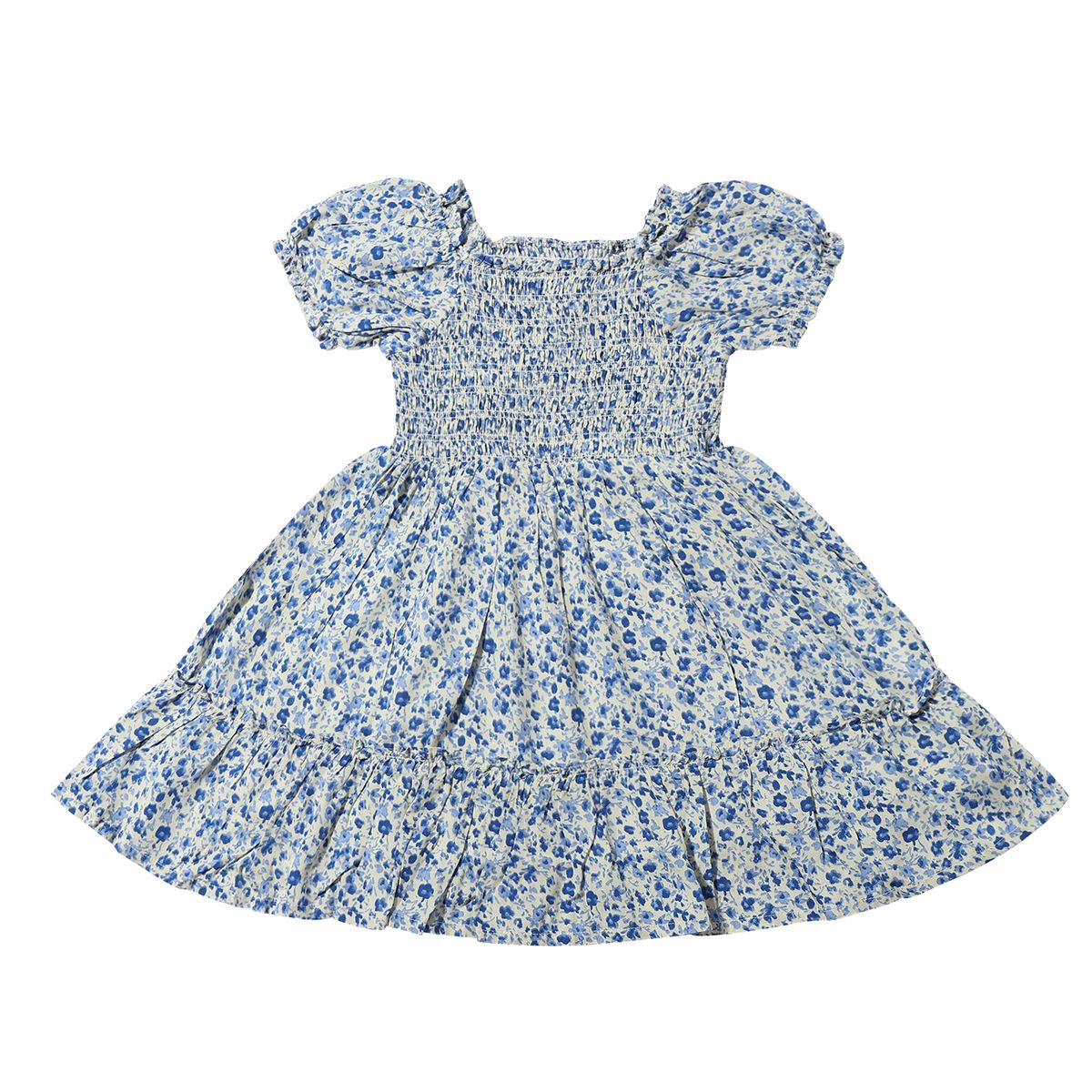Blue Meadow Floral Dress