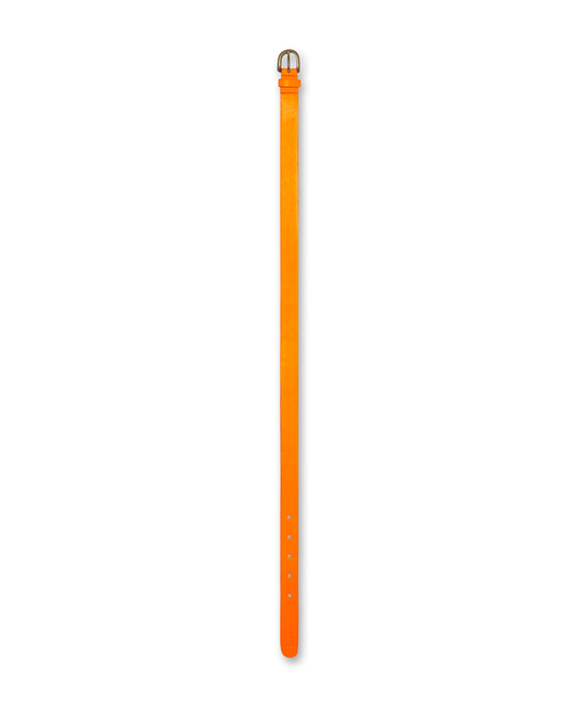 Neon Orange Belt