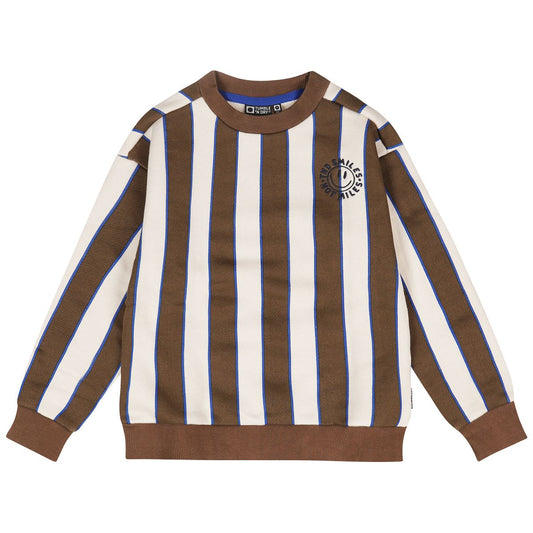 Brown Blue Stripe Sweatshirt