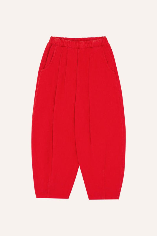 Red Corduroy Trousers