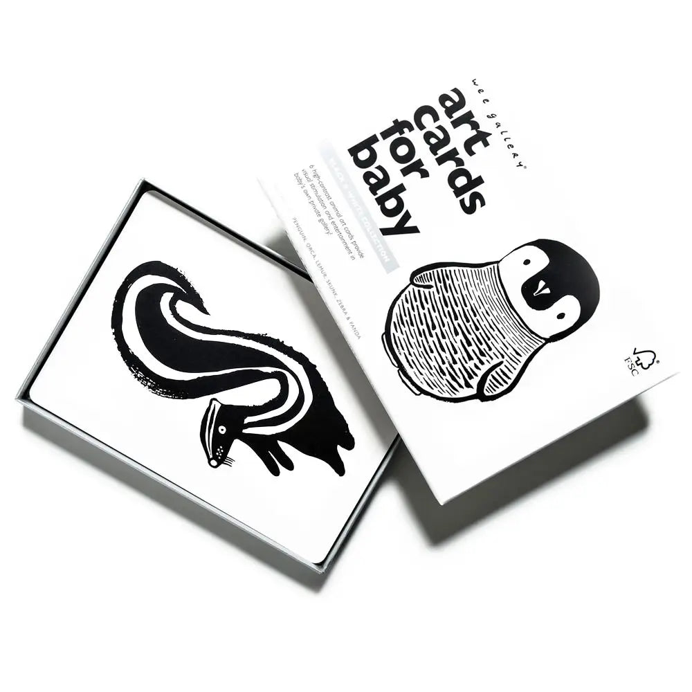 Black & White Art Cards - Wild Plains