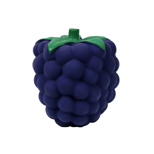 Blackberry Sensory Toy