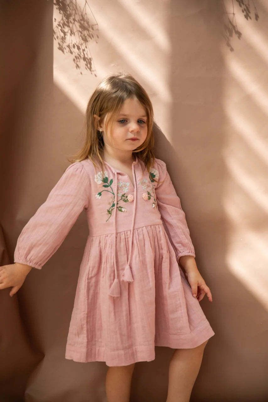 Embroidered Blush Dress - Wild Plains