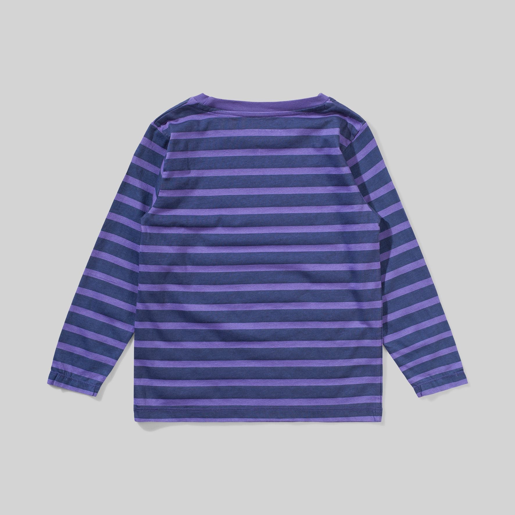 Purple Stripe Long Sleeve Tee - Wild Plains