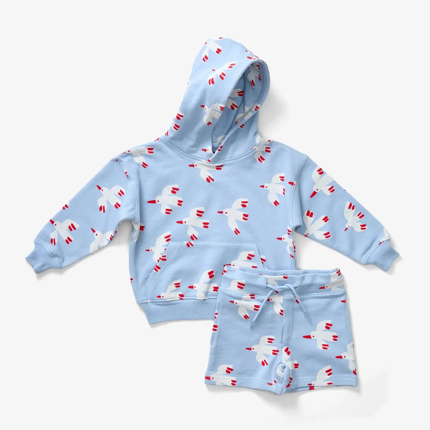 Sky Bird Hoodie